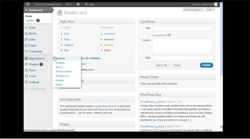 WordPress Dashboard: Appearance, Themes