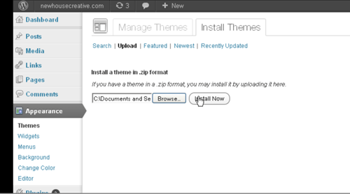 WordPress Dashboard: Install Theme Now