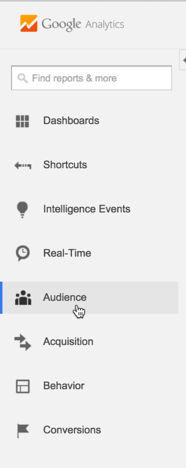 Within Google Analytics, select Audience