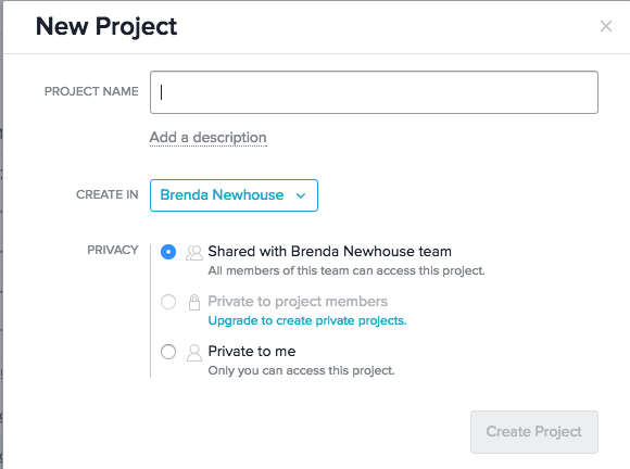 Name your Asana project.
